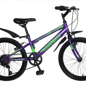 Велосипед 20 радиус ''Fighter TOPGEAR''